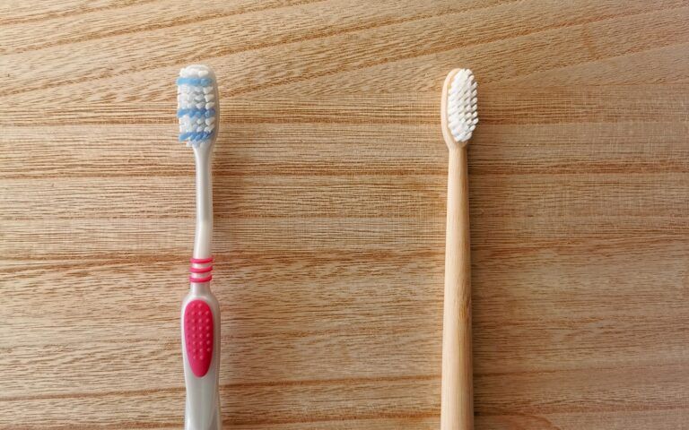 Bamboo Toothbrush and Plastic Toothbrush